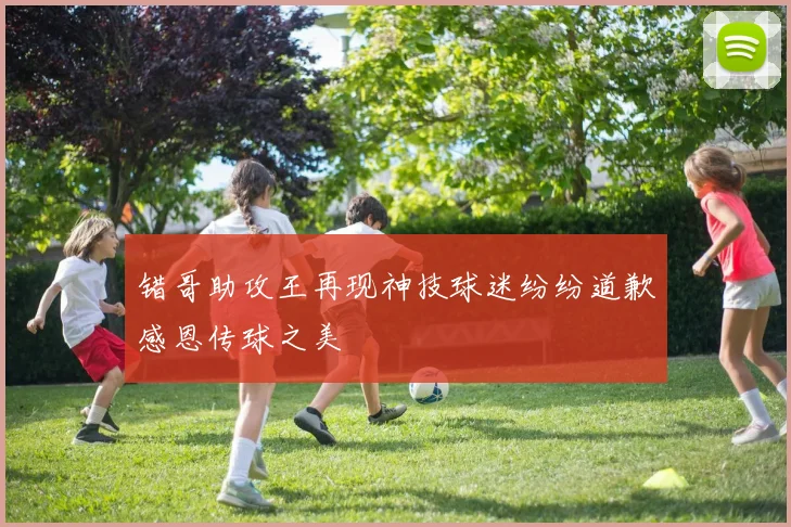错哥助攻王再现神技球迷纷纷道歉感恩传球之美