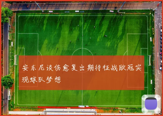 安东尼谈伤愈复出期待征战欧冠实现球队梦想