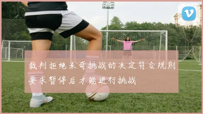 裁判拒绝米奇挑战的决定符合规则要求暂停后才能进行挑战