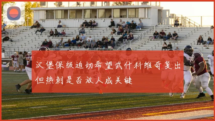 汉堡保级迫切希望武什科维奇复出但热刺是否放人成关键